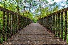 Fendrod Bridge