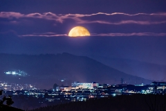 Moon Rise