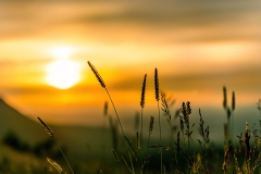 Rhigos Sunset