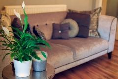 Property 36